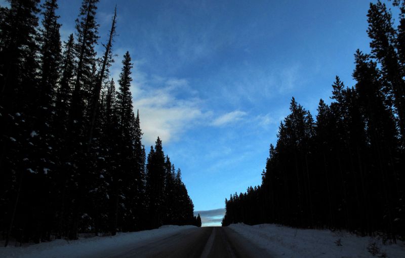 &copy; Reuters. طريق مغطى بالثلوج يؤدي إلى أعلى التل في إقليم ألبرتا بكندا في صورة من أرشيف رويترز.