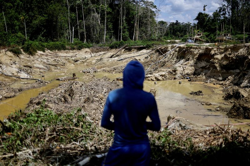&copy; Reuters. FOTO DE ARCHIVO. Un minero ilegal observa un área forestal destruida, mientras es detenido por miembros del Grupo Especial de Inspección del Instituto Brasileño de Medio Ambiente y Recursos Naturales Renovables (IBAMA) durante una operación contra la 