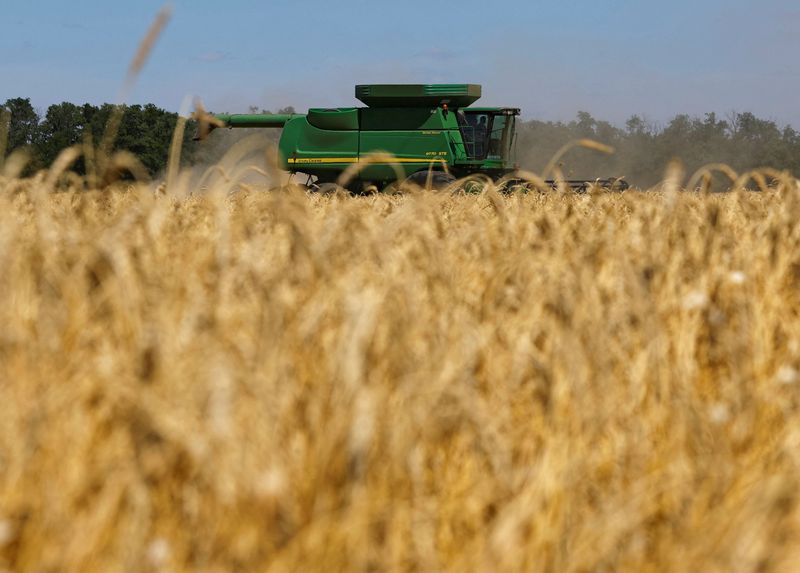 &copy; Reuters. A combine harvests wheat in a field in the course of Russia-Ukraine conflict near the settlement of Nikolske in the Donetsk Region, Russian-controlled Ukraine, July 19, 2023. REUTERS/Alexander Ermochenko/File Photo