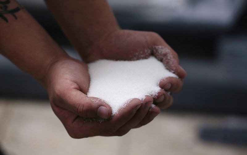 &copy; Reuters. A worker shows sugar after the processing of sugarcane in the Coopevictoria sugar mill in Grecia, Costa Rica January 25, 2019. REUTERS/Juan Carlos Ulate