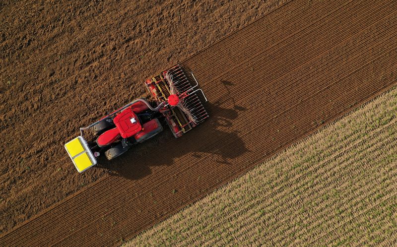 &copy; Reuters. Lavoura de trigo
26/10/2022
REUTERS/Pascal Rossignol