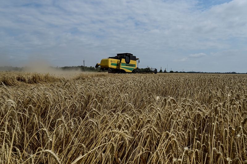 &copy; Reuters. FOTO DE ARCHIVO: Un trabajador agrícola maneja una segadora durante una recolección de trigo en un campo, en medio del ataque de Rusia a Ucrania, en la región de Zaporiyia, Ucrania. 14 de julio de 2023. REUTERS/Stringer