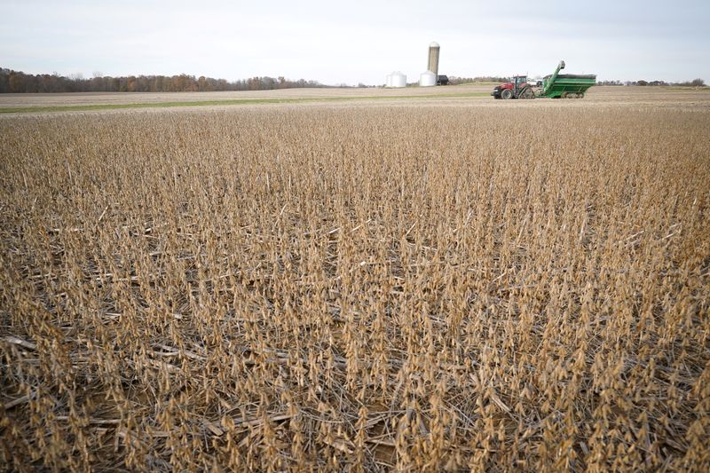 &copy; Reuters. Foto de archivo - Campo de soja siendo cosechado. Nov 8, 2019. REUTERS/Bryan Woolston