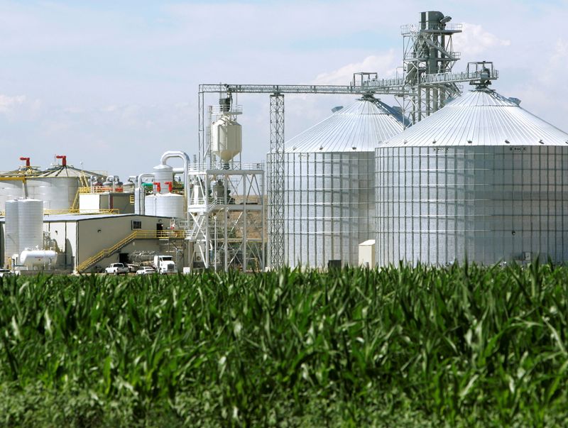 © Reuters. Usina de etanol com seus gigantescos silos de milho próximos a um milharal em Windsor, Colorado
07/07/2006
