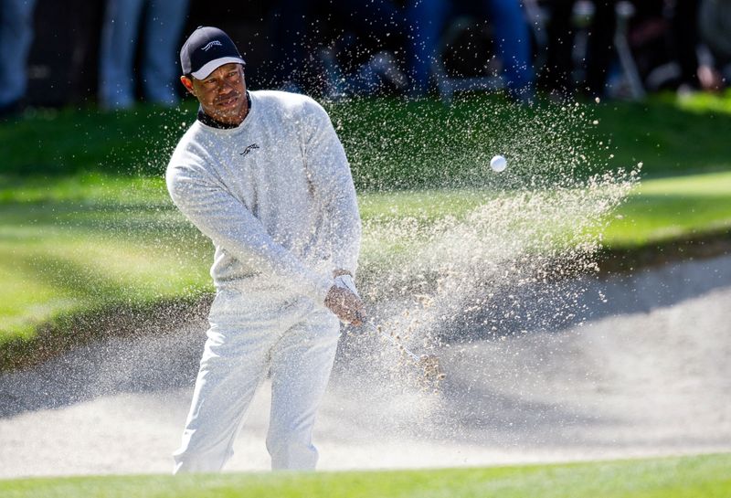 &copy; Reuters. 　男子ゴルフの元世界ランキング１位タイガー・ウッズが１６日、体調不良により、米カリフォルニア州パシフィックパリセーズで開催中のジェネシス招待を棄権した。米カリフォルニア州