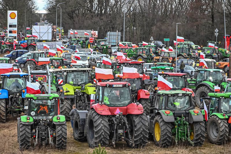 © Reuters. Polish farmers protest over price pressures, taxes and green regulation, grievances shared by farmers across Europe and against the import of agricultural produce and food products from Ukraine, as they gather with tractors near Sulechow, Poland, February 20, 2024. Wladyslaw Czulak/Agencja Wyborcza.pl via REUTERS 