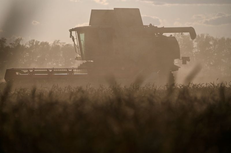 &copy; Reuters. 　２月２０日、ロシアのパトルシェフ農相は２０日、アフリカ６カ国に２０万トンの穀物を無償提供する作業を完了したと明らかにした。写真は小麦を借り入れるコンバイン。ロシアのオム