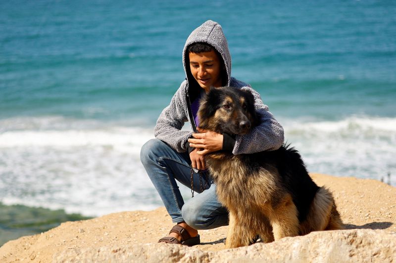&copy; Reuters. Displaced Palestinian teenager Hassan Abu Saman holds his dog on a beach, amid the ongoing conflict between Israel and the Palestinian Islamist group Hamas, in Rafah, in the southern Gaza Strip, February 20, 2024. REUTERS/Ibraheem Abu Mustafa