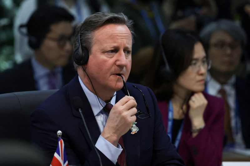 © Reuters. وزير الخارجية البريطاني ديفيد كاميرون خلال حضوره اجتماع وزراء خارجية الدول الأعضاء بمجموعة العشرين في ريو دي جانيرو يوم الأربعاء. ريكاردو مورايس - رويترز.