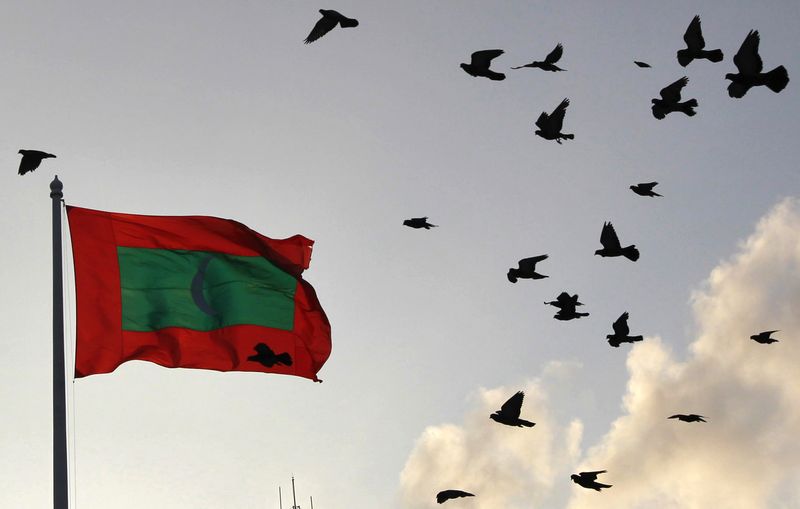 &copy; Reuters. A Maldives national flag flutters as pigeons fly past during the morning in Male February 8, 2012. REUTERS/Dinuka Liyanawatte/Files