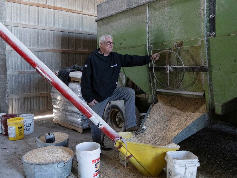 © Reuters. Farmer Dan Henebry poses inside of his feeding shed at his farm in Buffalo, Illinois, U.S., February 18, 2024.    REUTERS/Lawrence Bryant