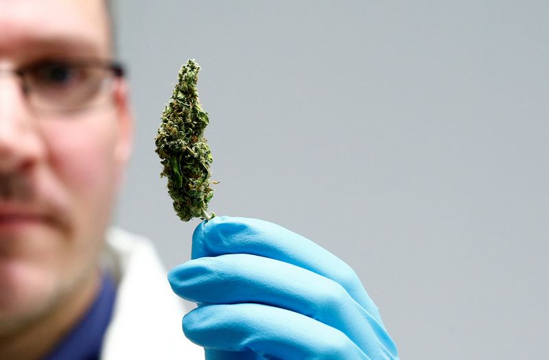 &copy; Reuters. Photo d'archives d'un employé qui brandit du cannabis dans le laboratoire du siège du fabricant de plantes médicinales Bionorica à Neumarkt, Allemagne. /Photo prie le 9 février 2018 à Neumarkt, Allemagne/REUTERS/Michaela Rehle