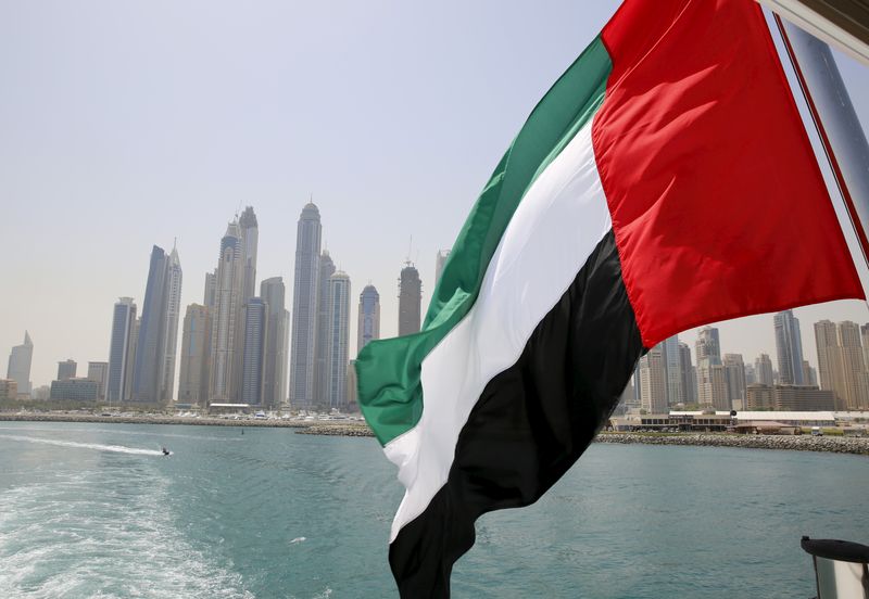 © Reuters. علم الإمارات يرفرف فوق قارب في مرسى دبي. صورة من أرشيف رويترز.
