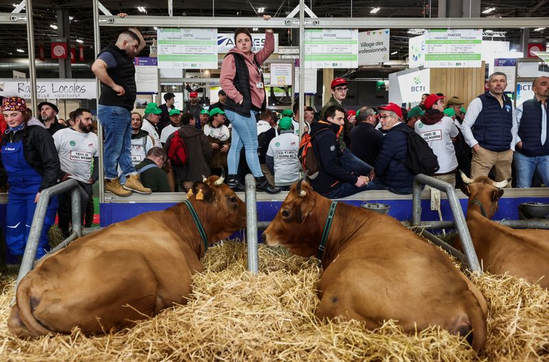 &copy; Reuters. La gente se encuentra junto a las vacas mientras los agricultores protestan dentro del centro de exposiciones Porte de Versailles, el día de la visita del presidente francés Emmanuel Macron a la Feria Internacional de Agricultura (Salon International de