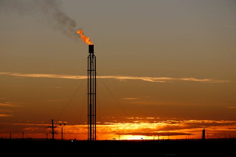 &copy; Reuters. Una torcia brucia il gas naturale in eccesso nel Bacino Permiano a Loving County, Texas, Stati Uniti, 23 novembre 2019. Immagine scattata il 23 novembre 2019.  REUTERS/Angus Mordant/File Photo