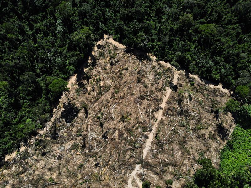 &copy; Reuters. Vista de una zona deforestada en plena selva amazónica, cerca de la carretera BR-230, conocida como Transamazónica, en el municipio de Uruara, Pará, Brasil, 14 de julio de 2021. REUTERS/Bruno Kelly/Foto de archivo