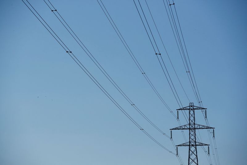 &copy; Reuters. FILE PHOTO: An electricity pylon is seen in Leicester, Britain, April 25, 2020. REUTERS/Andrew Boyers/File Photo