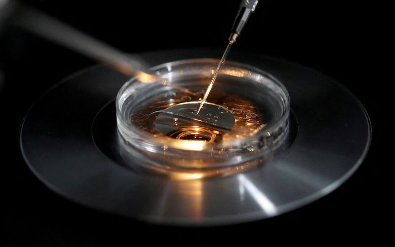 &copy; Reuters. FILE PHOTO: A medical lab technologist operates an embryo vitrification during an intra cytoplasmic sperm injection process (ICSI) at a laboratory in Paris, France, September 13, 2019. REUTERS/Christian Hartmann/File Photo