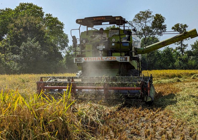 &copy; Reuters. Agricultor usa colheitadeira para colher arroz em um campo na vila de Haidergarh, na Índia
19/10/2023
REUTERS/Rajendra Jadhav