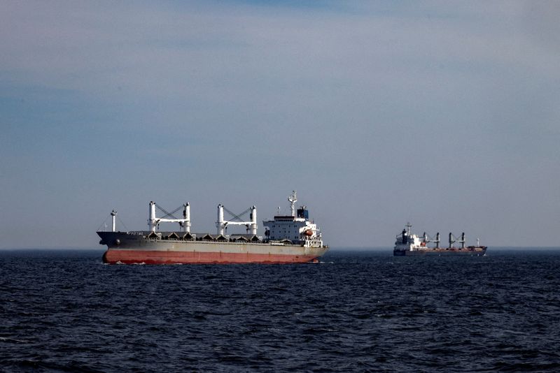 &copy; Reuters. FILE PHOTO: Cargo ships are seen from a patrol boat of Ukraine?s coast guard as they sail in the Black Sea, amid Russia?s attack on Ukraine, February 7, 2024. REUTERS/Thomas Peter/File Photo