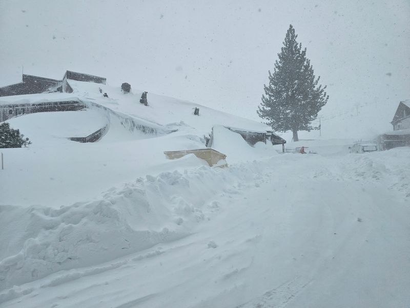 © Reuters. A house is covered with snow, in Truckee, U.S., in this picture obtained from social media, March 2, 2024 . Ashley Belline/via REUTERS