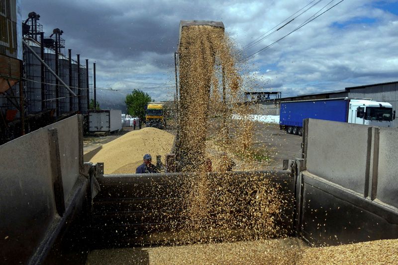 &copy; Reuters. FOTO DE ARCHIVO: Un trabajador carga un camión con grano en una terminal durante la cosecha de cebada en la región de Odesa, mientras continúa el ataque de Rusia a Ucrania, Ucrania. 23 de junio de 2022.  REUTERS/Igor Tkachenko/Archivo