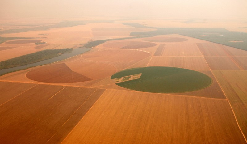 &copy; Reuters. FOTO DE ARCHIVO: Vista aérea de una plantación de soja en Sorriso, en el estado central de Mato Grosso, Brasil. 8 de septiembre de 2011. REUTERS/Paulo Whitaker/Archivo