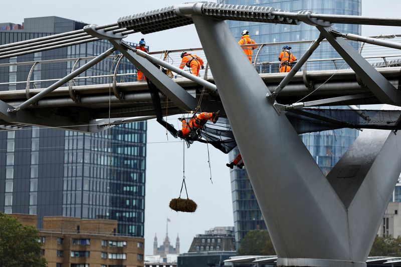 &copy; Reuters. A bale of hay hangs from Millennium Bridge in accordance with an ancient by-law requiring workers to warn river traffic of reduced head room below as it undergoes repairs, in London, Britain, October 18, 2023. REUTERS/Clodagh Kilcoyne/File Photo
