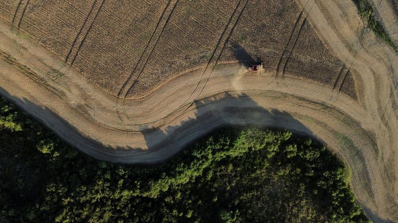 &copy; Reuters. FOTO DE ARCHIVO: Granos de soja son cosechados en un campo en Ponta Grossa, estado de Paraná, Brasil. 25 de abril de 2023. REUTERS/Rodolfo Buhrer