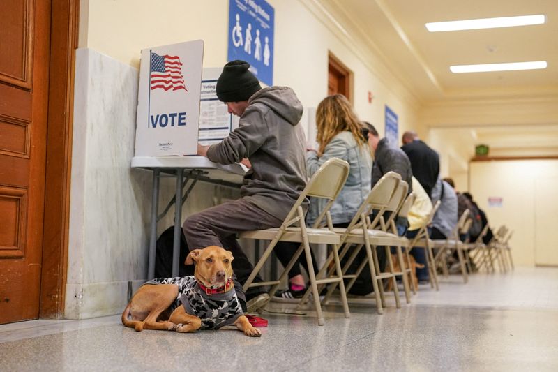© Reuters. A dog waits for its owner to finish voting at the San Francisco City Hall voting center during the Super Tuesday primary election in San Francisco, California, U.S. March 5, 2024. REUTERS/Loren Elliott