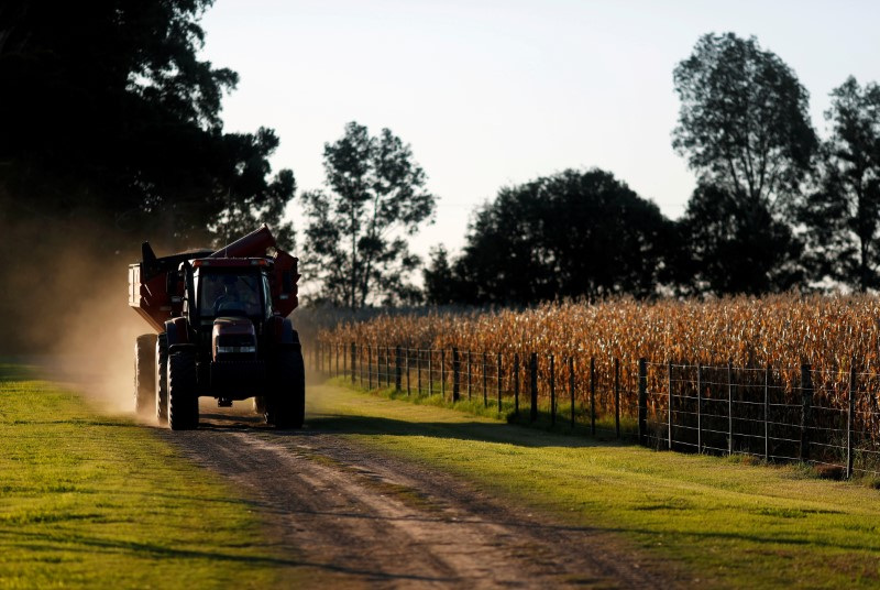 &copy; Reuters. Trator passa por plantação de milho em Chivilcoy, nos arredores de Buenos Aires
08/03/2020
REUTERS/Agustin Marcarian