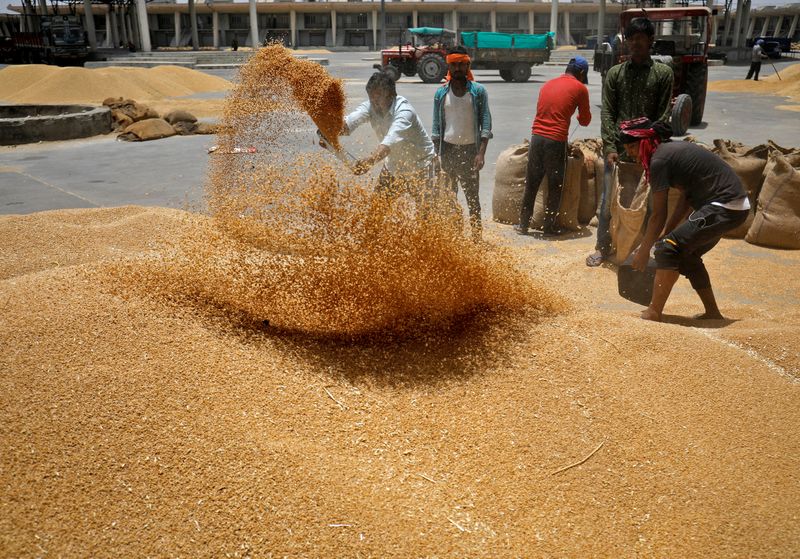 &copy; Reuters. عمال يغربلون القمح قبل تعبئته داخل جوالات في ساحة السوق التابعة للجنة تسويق المنتجات الزراعية في إحدى ضواحي أحمد اباد بالهند في صورة من أرش