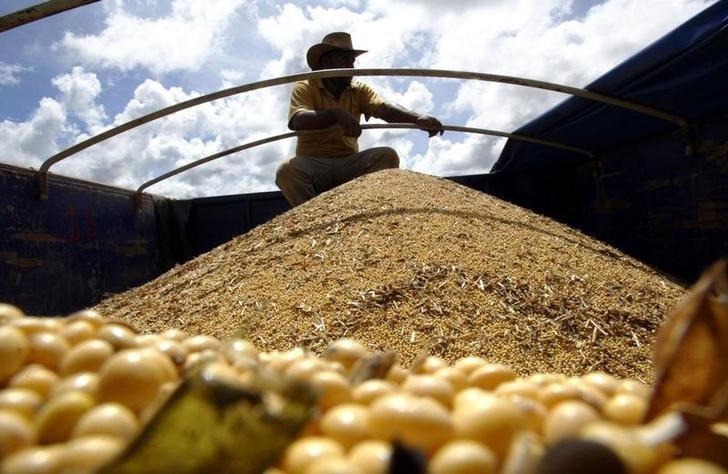 &copy; Reuters. Imagen de archivo de un agricultor superivsando un cargamento de soja en un camión en un cultivo de Lucas do Norte, Mato Grosso, Brasil. 18 marzo 2004. REUTERS/Paulo Whitaker