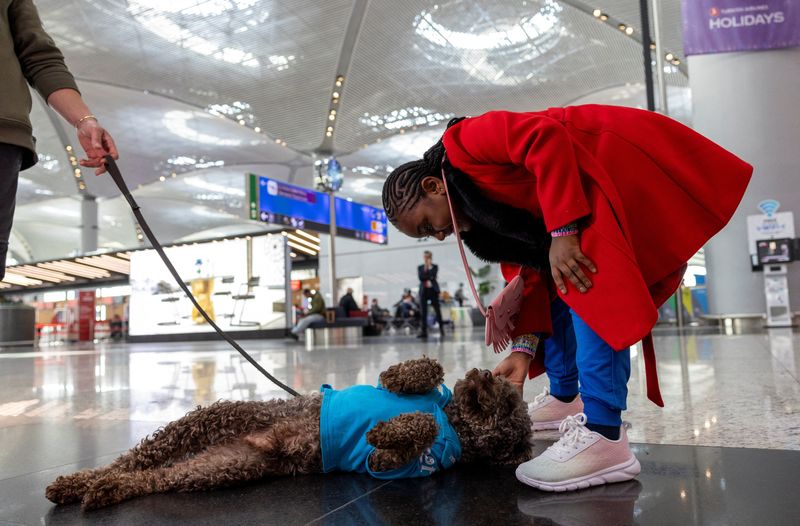 &copy; Reuters. Pasajeros acarician a uno de los cinco perros de terapia que deambulan por el aeropuerto de Estambul, en busca de pasajeros estresados que buscan calmar sus nervios antes de embarcar en su vuelo, en Estambul
 Mar 11, 2024. REUTERS/Umit Bektas