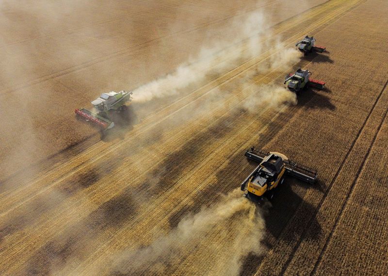 &copy; Reuters. FILE PHOTO: Combines harvest wheat in a field of a local agricultural enterprise in the Cherlaksky district of the Omsk region, Russia, September 8, 2023. REUTERS/Alexey Malgavko/File Photo
