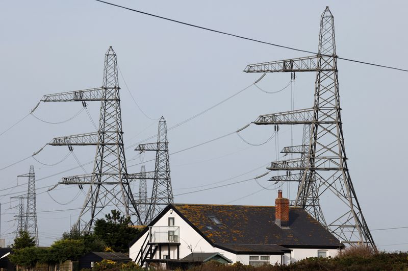 © Reuters. FILE PHOTO: Electricity pylons are seen behind a local house in Dungeness, Britain, October 8, 2023. REUTERS/Carlos Jasso/File Photo