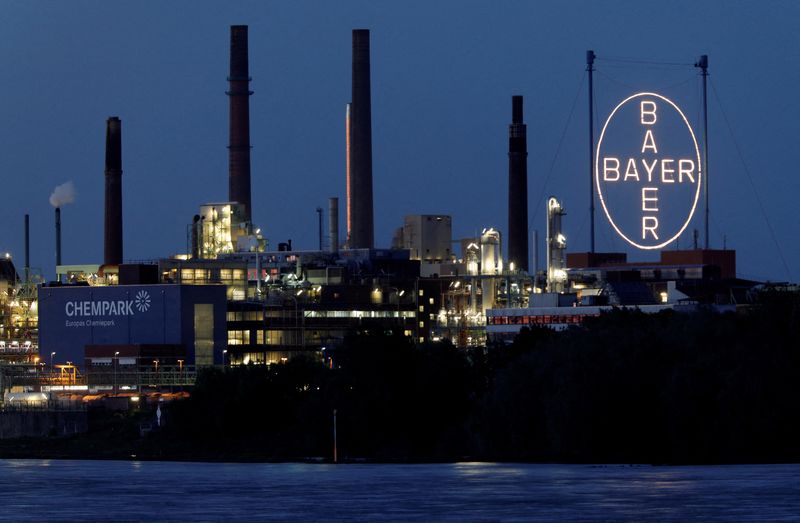 Bayer rejects Brazilian farmers' claim that court finds it liable for $2 billion in royalties