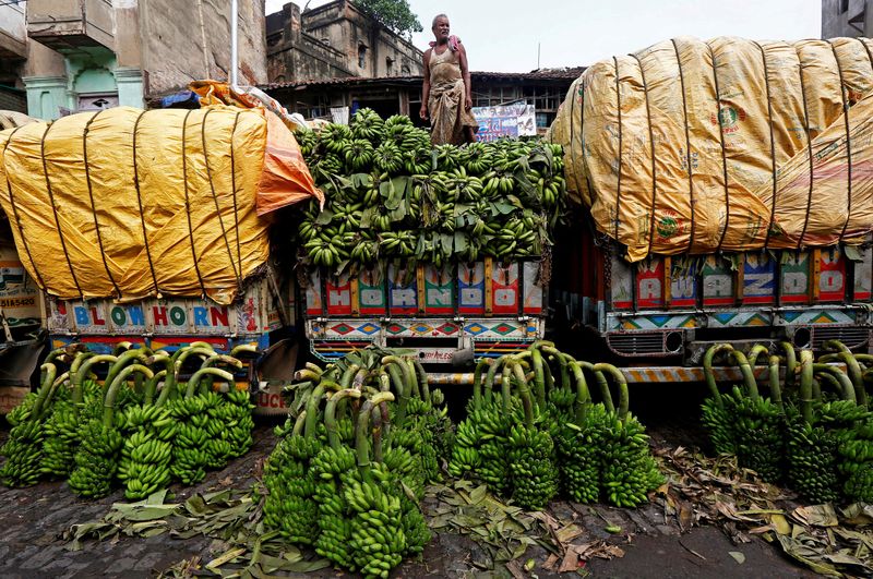 &copy; Reuters. FILE PHOTO: A worker unloads raw bananas, which will be used as offerings during prayers ahead of the Hindu religious festival of Chhath Puja, from a truck at a wholesale market in Kolkata, India October 25, 2017. REUTERS/Rupak De Chowdhuri/File Photo