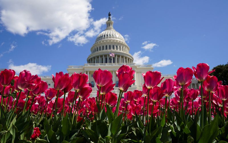 &copy; Reuters. FILE PHOTO: Spring flowers are in full bloom in front of the U.S. Capitol in Washington, U.S., April 2, 2020. REUTERS/Kevin Lamarque/File Photo