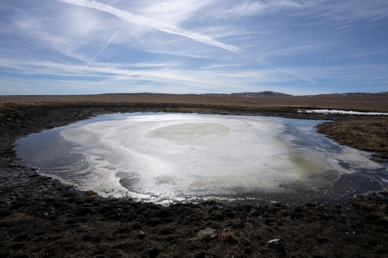 © Reuters. A view of a small body of water, which is partially frozen, in dry ranch land near Pincher Creek, Alberta, Canada March 15, 2024.  REUTERS/Todd Korol