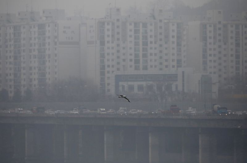 &copy; Reuters. FILE PHOTO: A bird flies on a polluted day in Seoul, South Korea, March 12, 2019. Picture taken on March 12, 2019.  REUTERS/Kim Hong-ji/File Photo