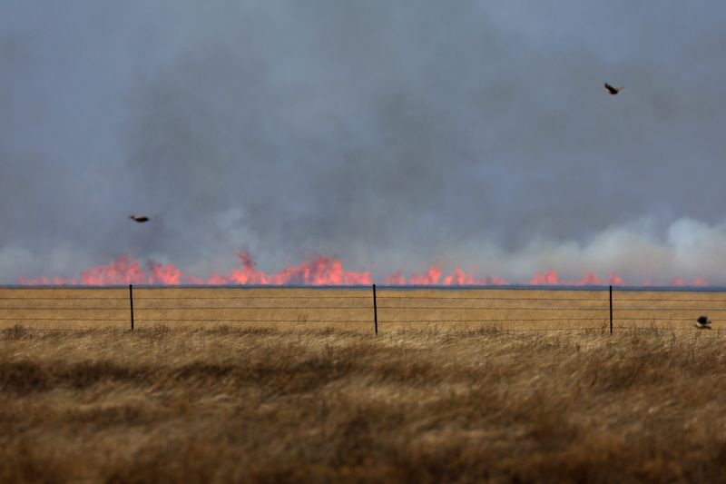 &copy; Reuters. Incêndio florestal pode ser visto, levemente desfocado pelas ondas de calor, depois de ter sido fustigado por ventos fortes em Pampa, Texas
02/03/2024
REUTERS/Leah Millis