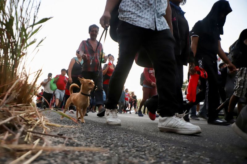 &copy; Reuters. Migrants walk in a caravan as an attempt to reach the U.S. border, in Arriaga, Chiapas state, Mexico January 8, 2024. REUTERS/Jacob Garcia