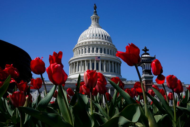 &copy; Reuters. A view of the U.S. Capitol dome in Washington, D.C., U.S., March 21, 2024. REUTERS/Elizabeth Frantz