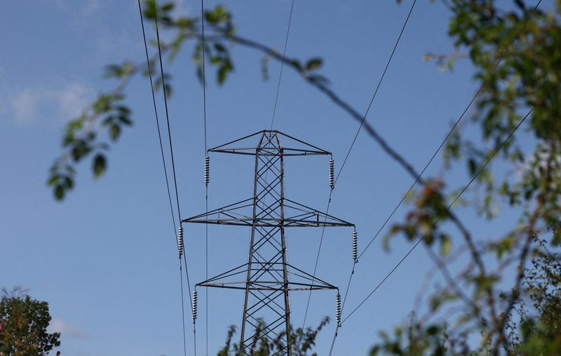 &copy; Reuters. Torre de transmissão de energia na Grã-Bretanha
29/07/2023
REUTERS/Toby Melville