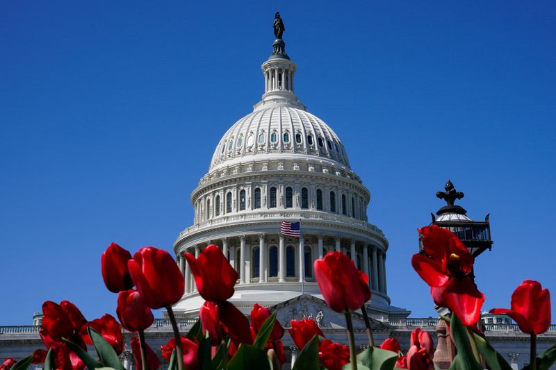 &copy; Reuters. Imagen de archivo del Capitolio en Washington, D.C., EEUU. 21 marzo 2024. REUTERS/Elizabeth Frantz