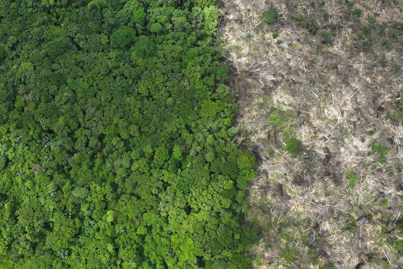 © Reuters. Une vue aérienne montre une zone déboisée lors d'une opération de lutte contre la déforestation au Brésil. /Photo d'archive/REUTERS/Ueslei Marcelino/