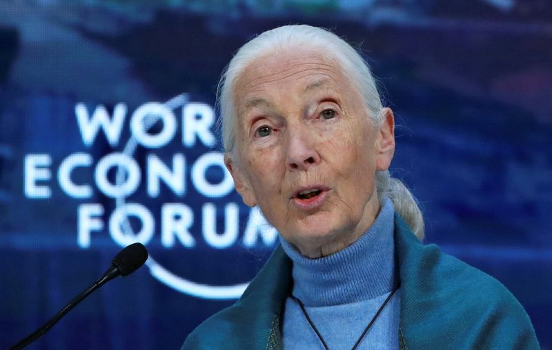 &copy; Reuters. FILE PHOTO: British primatologist, ethologist and anthropologist Jane Goodall attends a session at the 50th World Economic Forum (WEF) annual meeting in Davos, Switzerland, January 22, 2020. REUTERS/Denis Balibouse/File Photo