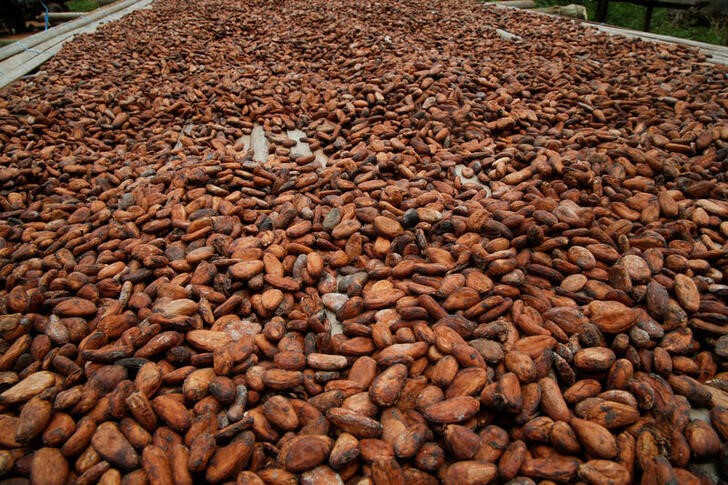 &copy; Reuters. ３月２６日のロンドン市場とニューヨーク市場で、カカオ豆先物価格が史上最高値を更新した。写真は２０２３年４月、コートジボワールのシンフラで撮影したカカオ豆（２０２４年　ロイ