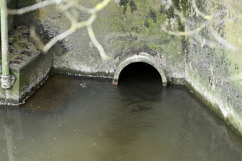 © Reuters. Untreated sewage is discharged from Thames Water treatment works, on the day data revealed sewage spills by water companies into England's rivers and seas more than doubled last year, near Chalgrove, Britain, March 27, 2024. REUTERS/Dylan Martinez